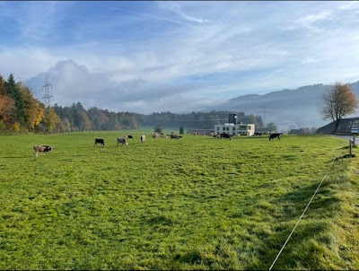 Gemeinde Buchrain, Luzern – Wohnen, Verkehr & Gemeindeleben